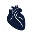 Cardiology/Heart Treatment